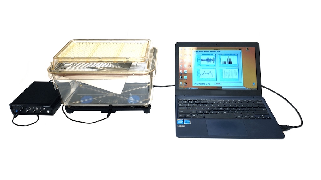 small_system-scaled-1